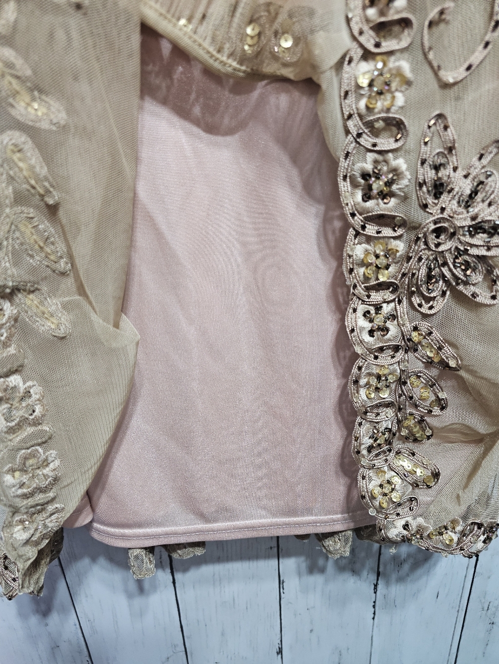 Sue Wong Nocturne Champagne Embroidered Beaded Drop Waist Dress Size 4 Lined. - Picture 6 of 13